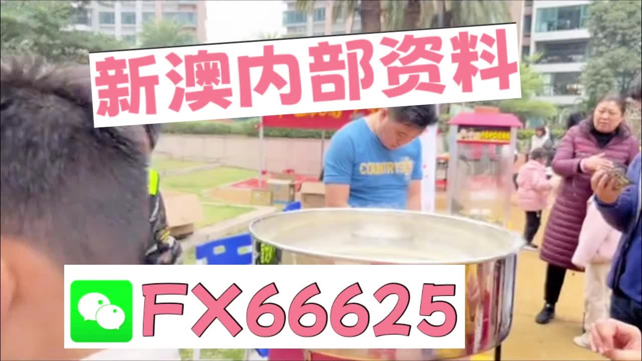 新澳天天彩資料大全最新版本陽肖，探索與策略，新澳天天彩資料大全最新版本陽肖，探索與策略揭秘