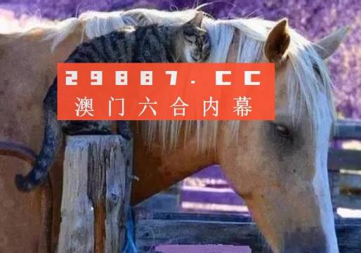 澳門(mén)一肖一碼一待一中四不像，探索與解析，澳門(mén)一肖一碼一待一中四不像，深度解析與探索