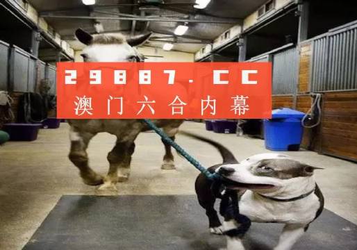 澳門一肖一碼一必中一肖，同舟前進(jìn)的奧秘與策略，澳門一肖一碼必中策略與前進(jìn)奧秘，同舟共濟(jì)的揭秘與策略