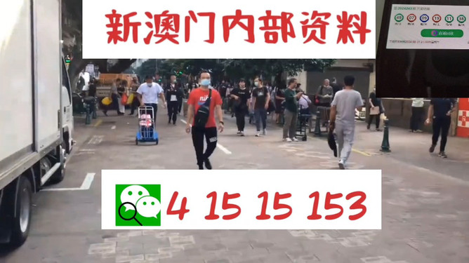 澳門管家婆，揭秘一種獨(dú)特的文化現(xiàn)象與娛樂體驗(yàn)，澳門管家婆，文化現(xiàn)象與娛樂體驗(yàn)的揭秘