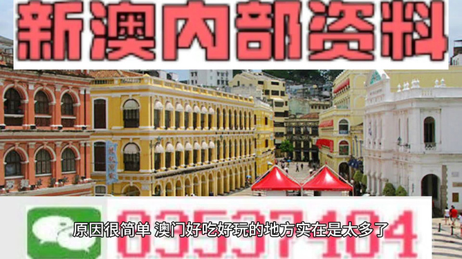 澳門精準資料大全免費，探索與解析，澳門精準資料大全免費解析探索
