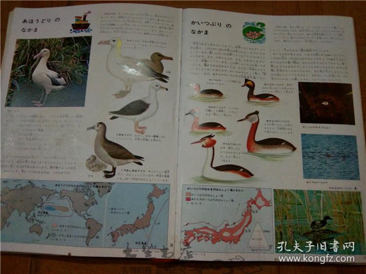 今日正版跑狗圖分享，探索7777788888跑狗圖的魅力，今日正版跑狗圖分享，探索魅力十足的777778跑狗圖