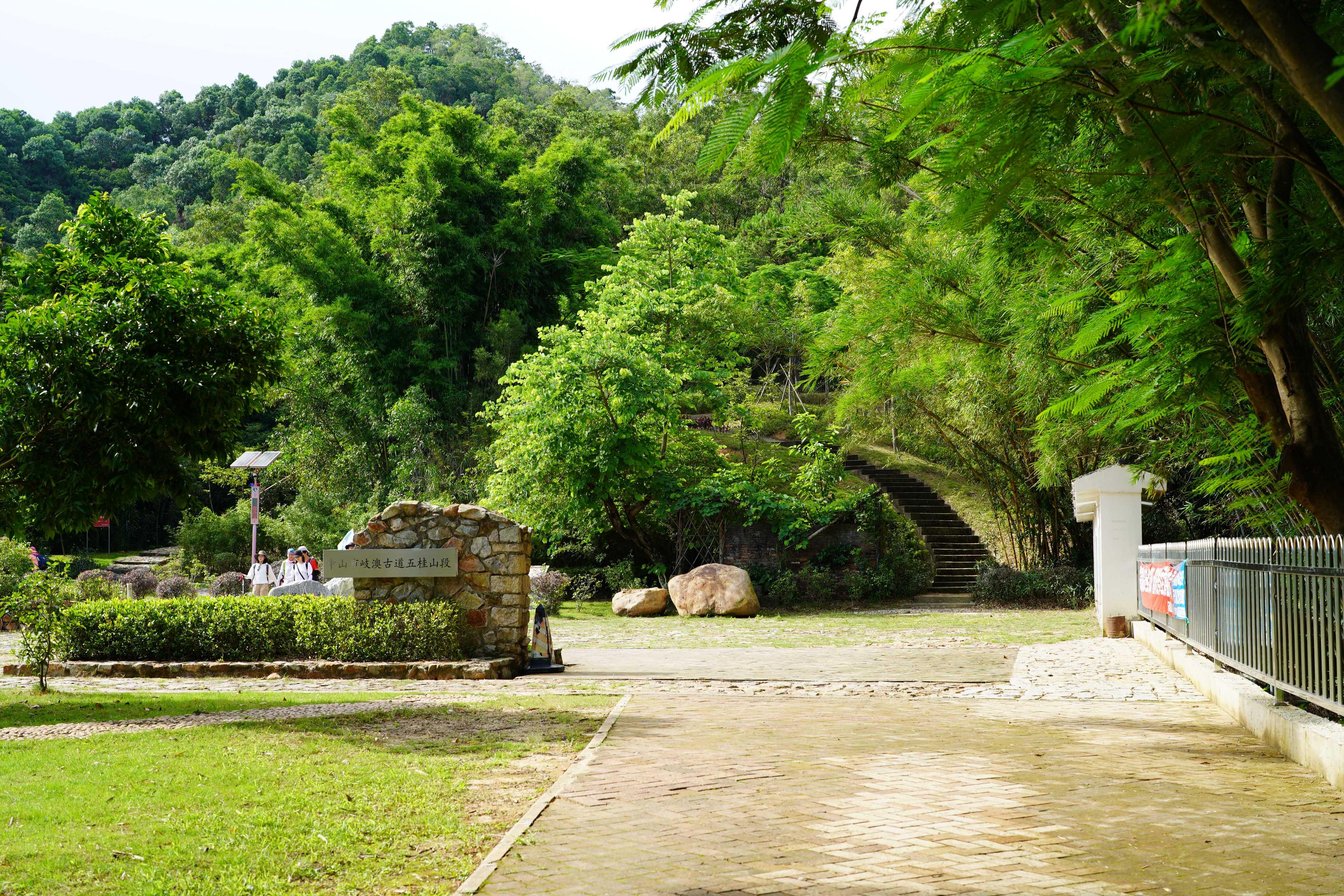 新澳門彩生肖走勢(shì)圖，探索與解讀彩票背后的秘密，探索解讀新澳門彩生肖走勢(shì)圖，彩票背后的秘密揭秘