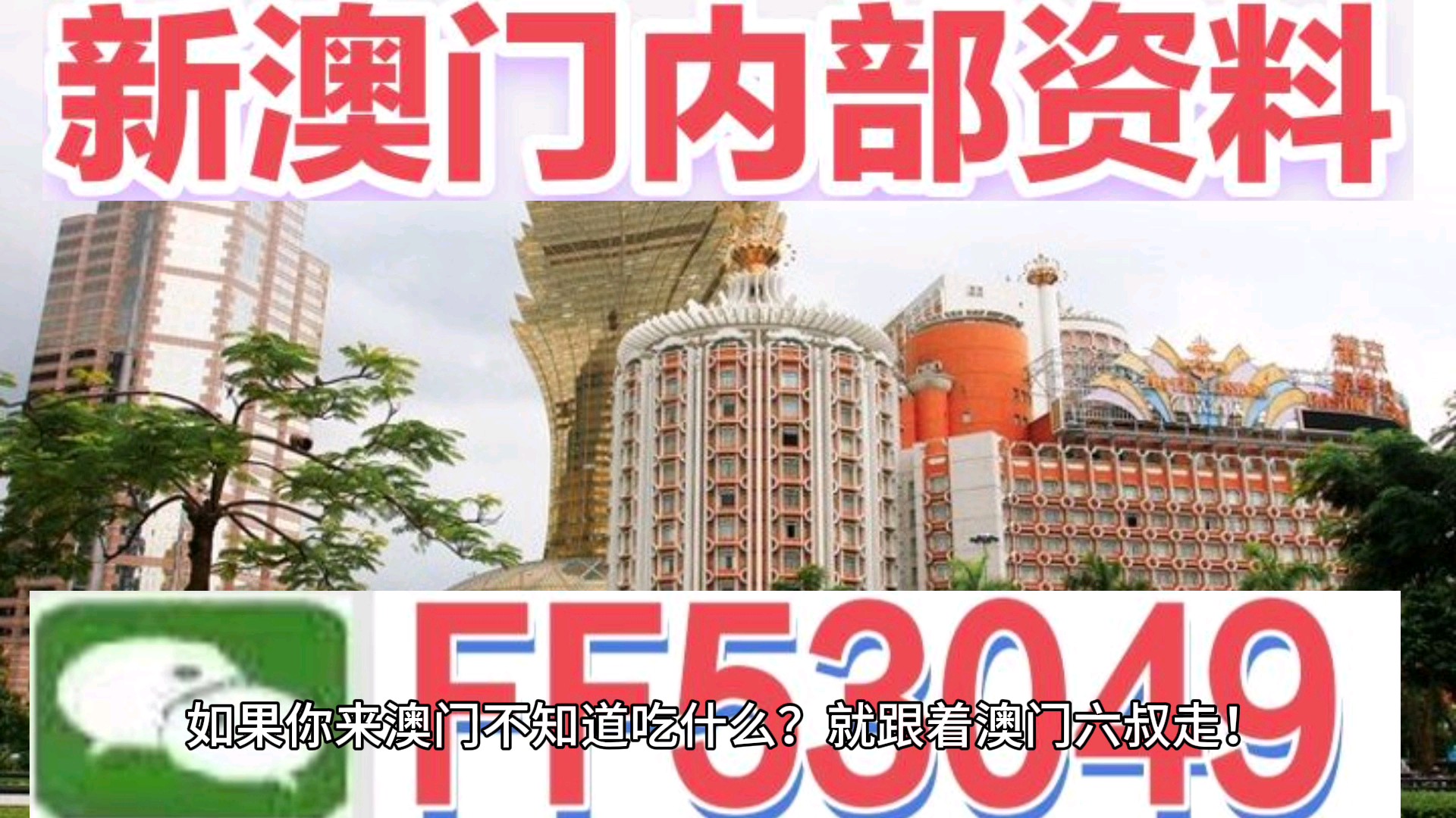澳門今晚特馬生肖預(yù)測，探尋未來的幸運(yùn)符號（2025年），澳門生肖預(yù)測揭秘，探尋未來幸運(yùn)符號（特馬生肖預(yù)測 2025年展望）