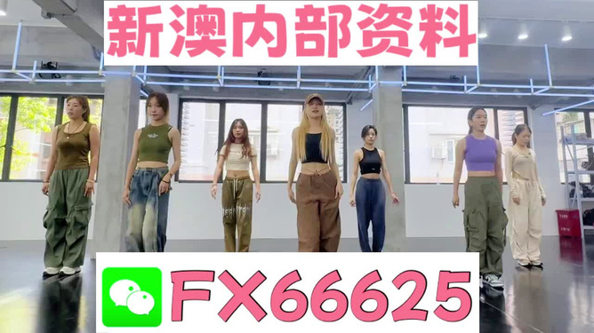 新澳持碼會資料詳解，新澳持碼會資料全面解析