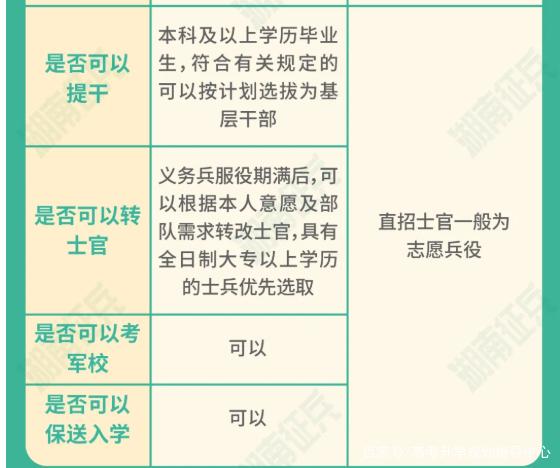 士官直招與義務(wù)兵的區(qū)別，深入了解軍隊招募制度，直招士官與義務(wù)兵招募制度深度解析，軍隊招募制度詳解
