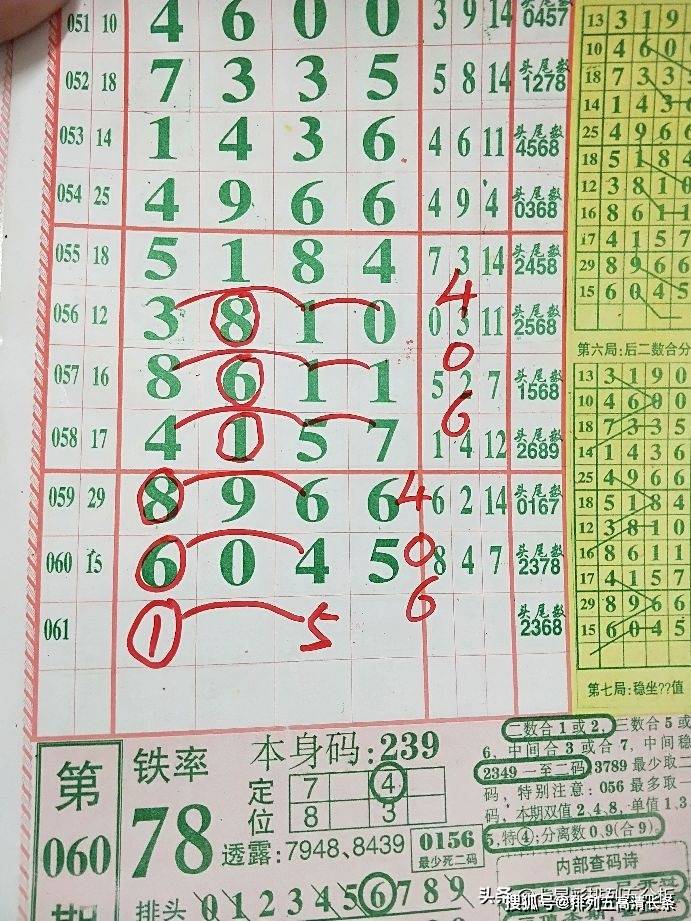 平特肖推算法，探索搜索引擎優(yōu)化的新境界，平特肖推算法，開啟搜索引擎優(yōu)化新境界的探索之旅
