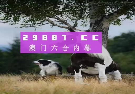 澳門正版全資料，探索2021年的無限可能，澳門正版全資料揭秘，2021年無限可能的探索