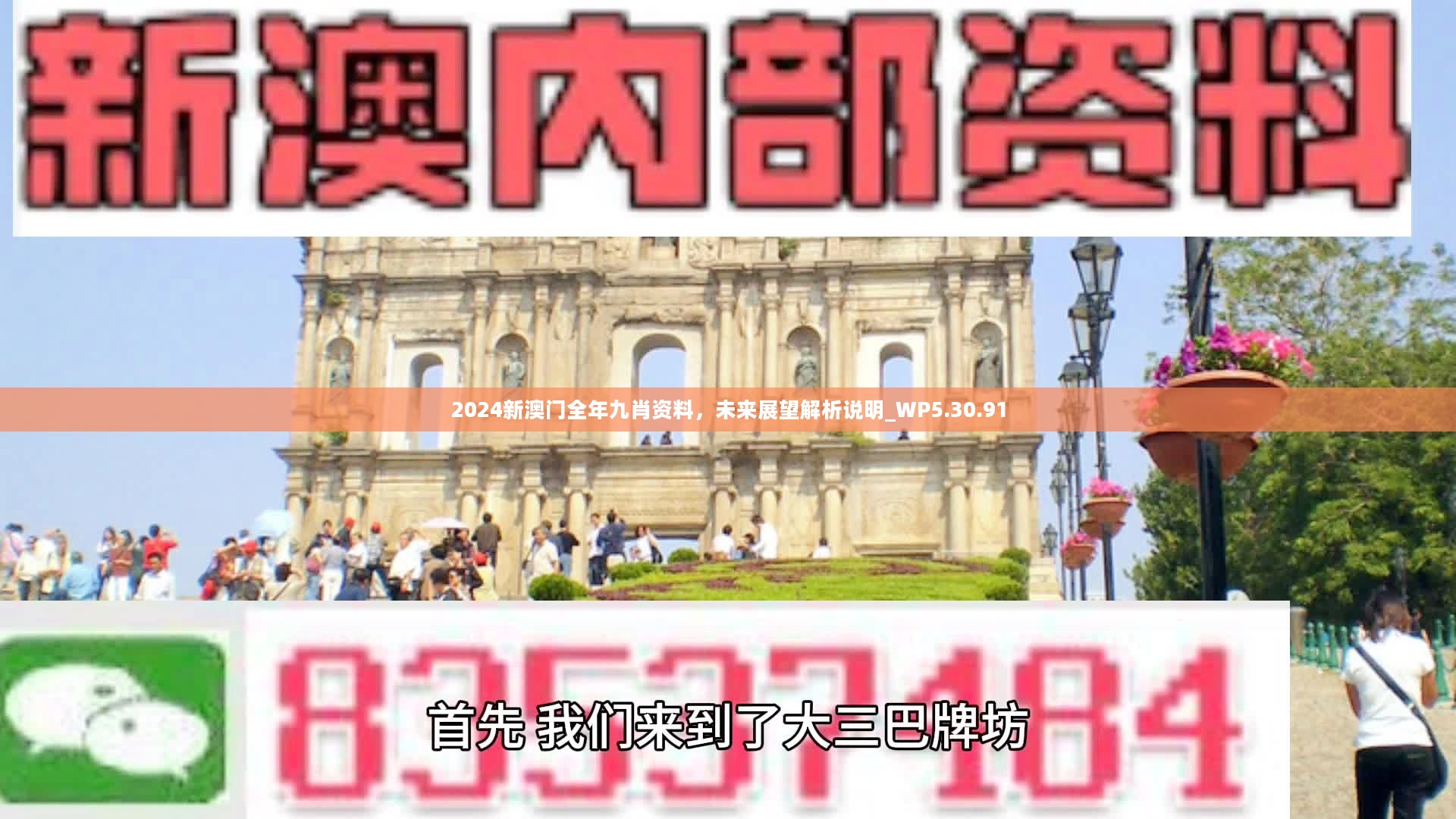 新澳門精準(zhǔn)九肖，揭秘預(yù)測技巧與策略，揭秘新澳門精準(zhǔn)九肖預(yù)測技巧與策略
