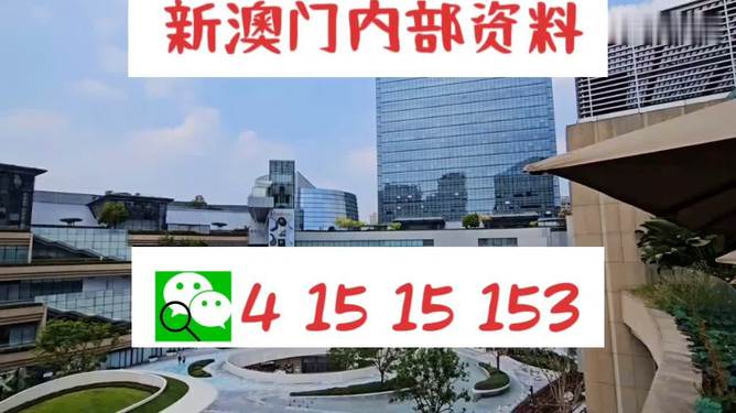 新澳門單雙，探索數(shù)字世界的奧秘與魅力，澳門數(shù)字世界的奧秘與魅力探索，單雙數(shù)的奇幻之旅