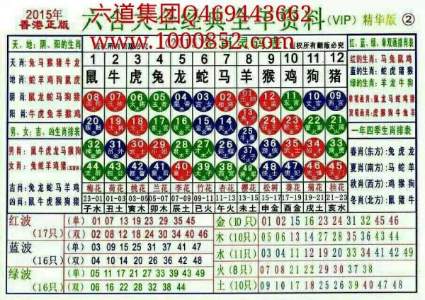 揭秘2024十二生肖49碼表——完整指南，揭秘十二生肖49碼表全攻略，2024年最新版指南