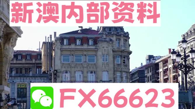 澳門六資料大全，深度探索與揭秘，澳門六資料大全，深度探索與揭秘之旅