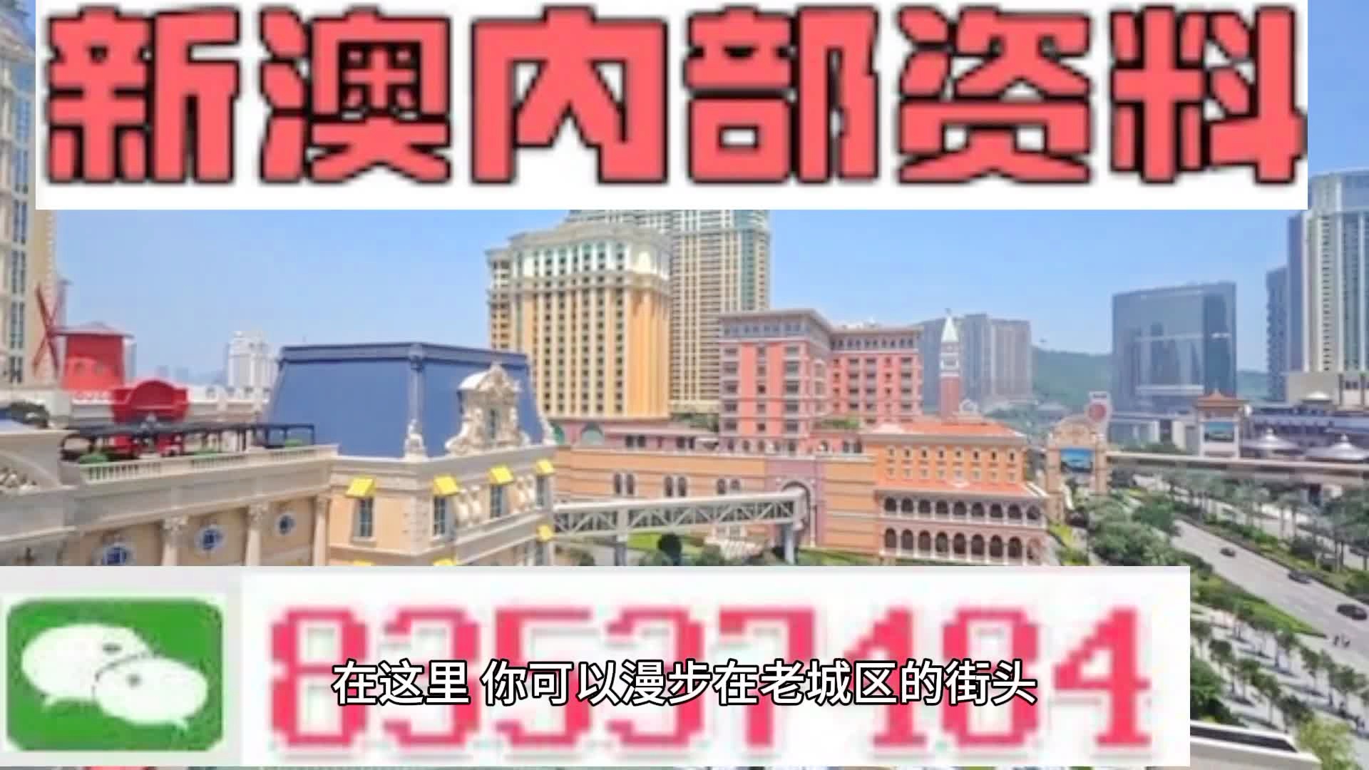 新澳門期期準(zhǔn)精準(zhǔn)，探索澳門的未來(lái)與SEO策略，澳門未來(lái)展望與SEO策略探索，精準(zhǔn)瞄準(zhǔn)新機(jī)遇
