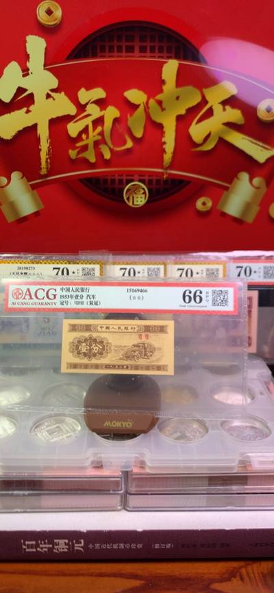 老牌王中王揭秘，公開一肖的神秘面紗，老牌王中王揭秘，揭開神秘生肖的面紗