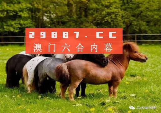 王中王四不像正版一肖中特圖，揭秘背后的秘密與獨特魅力，揭秘王中王四不像正版一肖中特圖的獨特魅力和背后秘密
