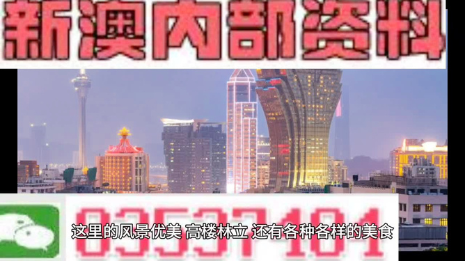 澳門精準(zhǔn)的資料大全，探索與發(fā)現(xiàn)，澳門精準(zhǔn)資料大全，探索未知的寶藏