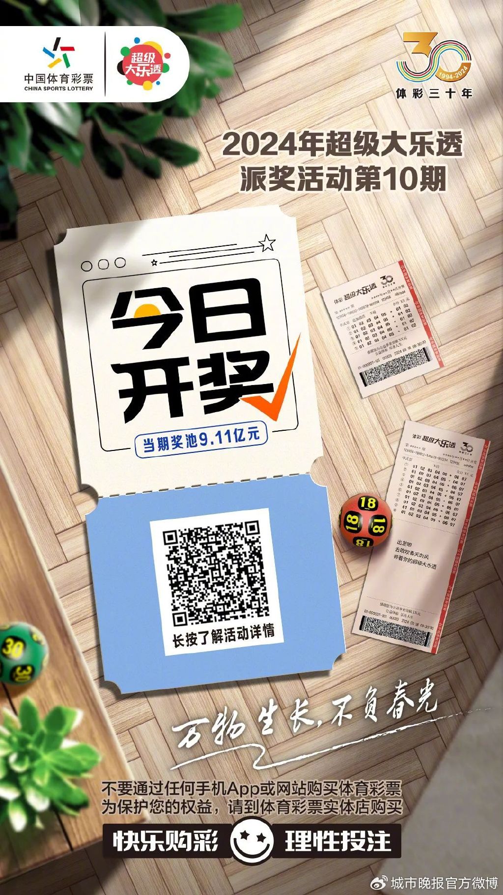 白小姐一肖一碼今晚開獎——揭秘彩票背后的秘密與策略，揭秘彩票背后的秘密與策略，白小姐一肖一碼今晚開獎預測