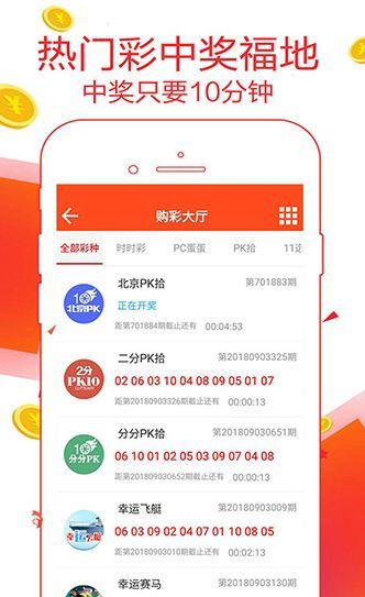 王中王一肖恃com，深度解析與SEO優(yōu)化策略，王中王一肖恃com，全面深度解析與SEO優(yōu)化策略探討