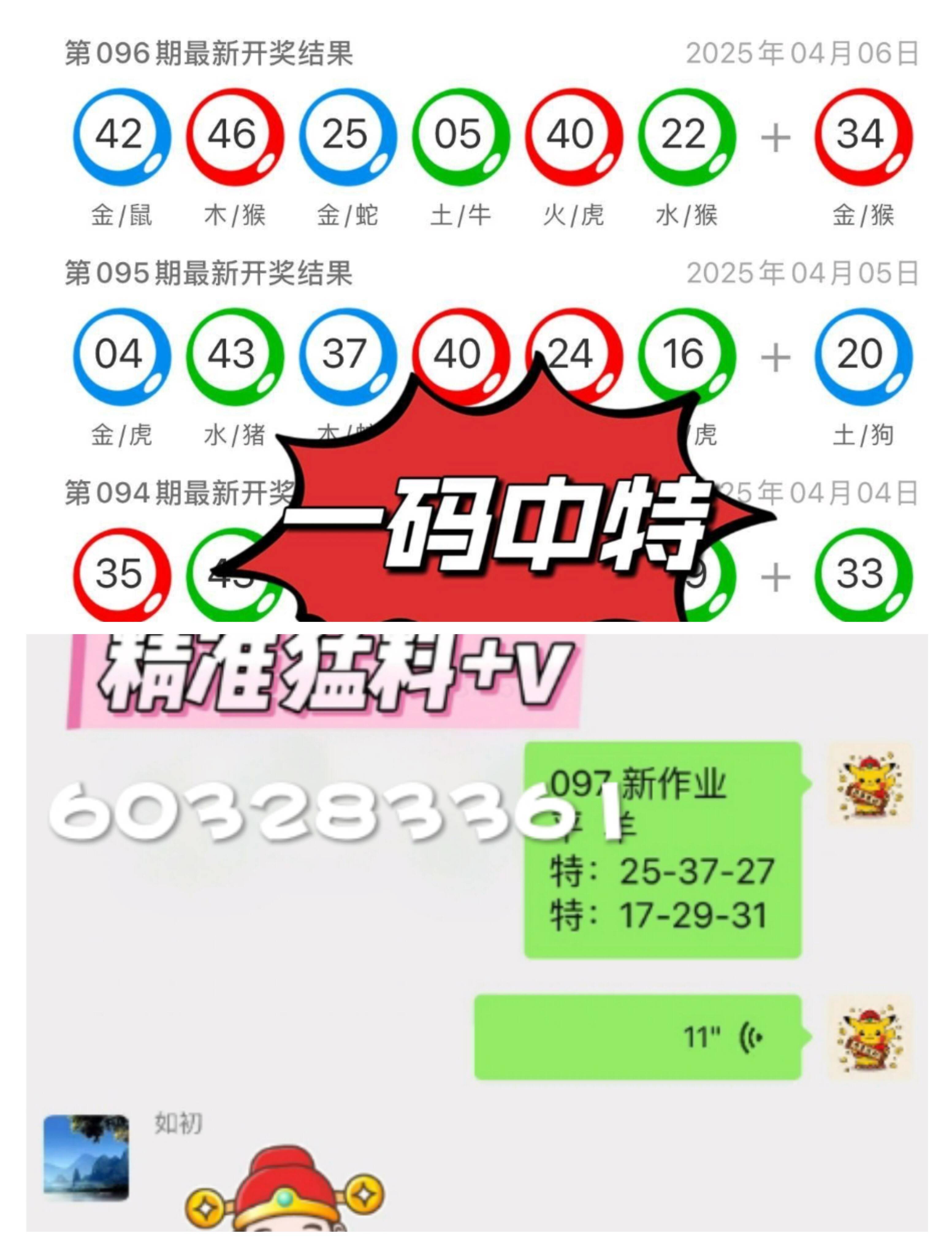 澳門一肖一碼中的奧秘與探索，澳門一肖一碼中的奧秘揭秘與探索之旅