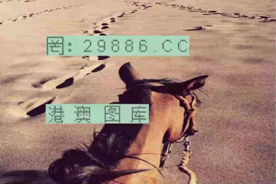 香港特馬資料王中王24期，深度解析與探索，香港特馬資料王中王深度解析與探索，第24期探索之旅