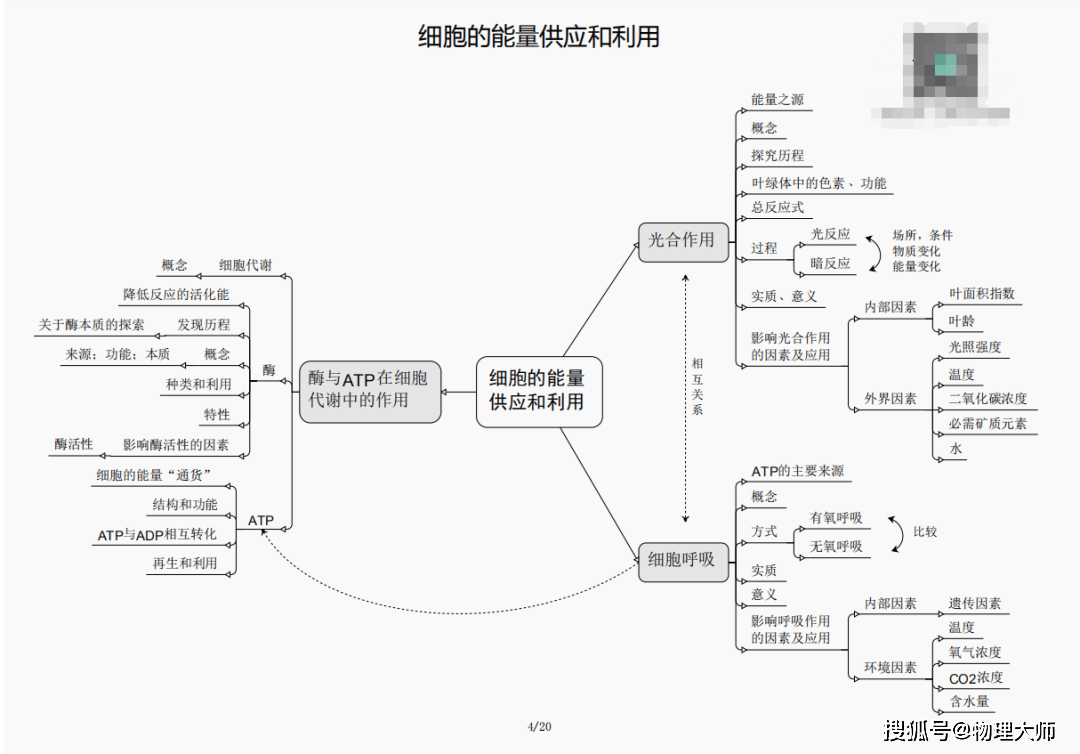 劉伯溫四肖三期