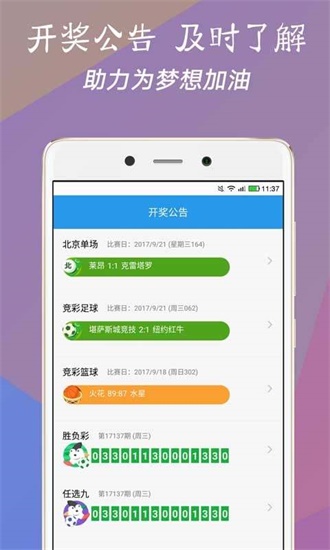 澳門今一必中一肖一碼一肖，揭秘彩票背后的秘密與策略，揭秘彩票背后的秘密與策略，澳門今一必中一肖一碼一肖探秘