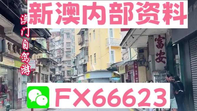 新澳精準(zhǔn)資料免費(fèi)提供，一站式獲取優(yōu)質(zhì)信息資源的指南，新澳精準(zhǔn)資料免費(fèi)獲取，一站式優(yōu)質(zhì)信息資源指南