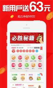 王中王欲錢請猜一肖，揭秘生肖之謎與SEO策略，揭秘生肖之謎與SEO策略，王中王欲錢請猜一肖的奧秘