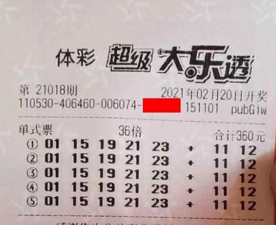 王中王018期指一生肖，揭秘背后的奧秘與意義，揭秘生肖奧秘，王中王生肖背后的意義與秘密