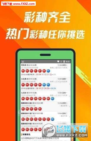 揭秘660678C0m王中王三肖一碼，真相與奧秘，揭秘，王中王三肖一碼真相與奧秘探索