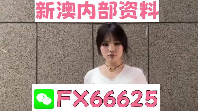 澳門正版資料大全完整版，探索與揭秘2025年澳門正版資料的世界，澳門正版資料大全揭秘，探索未來(lái)至2025年的奧秘世界