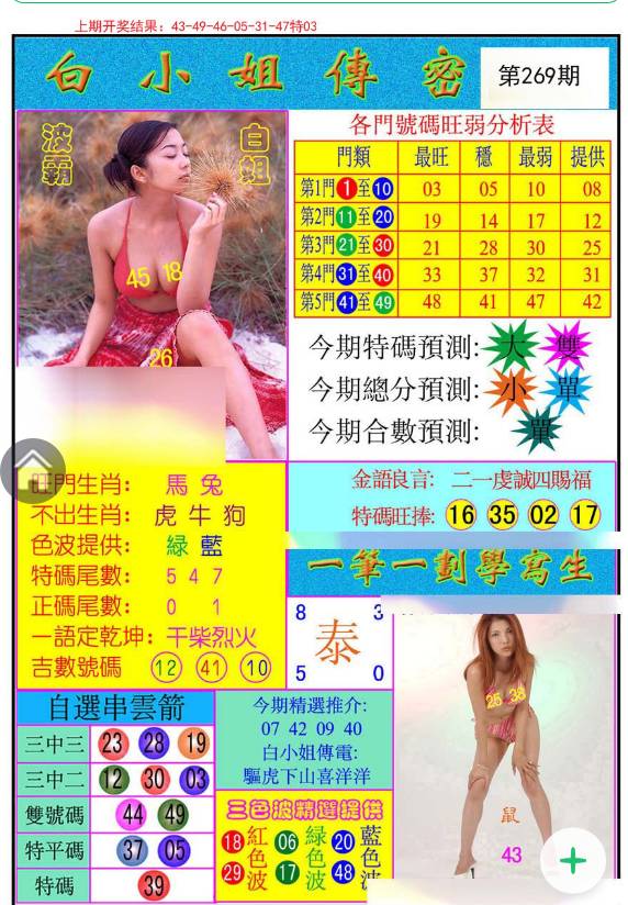 揭秘白小姐與王中王平持一肖的神秘面紗，白小姐與王中王，揭秘神秘生肖預(yù)測面紗