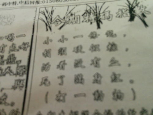 劉伯溫猜一生肖2022，神秘預言還是精準預測？，劉伯溫生肖預測揭秘，神秘預言還是精準預測？