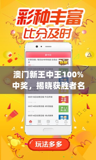 王中王藏寶閣猜一肖，揭秘背后的秘密與SEO策略，王中王藏寶閣猜一肖背后的秘密與SEO策略揭秘