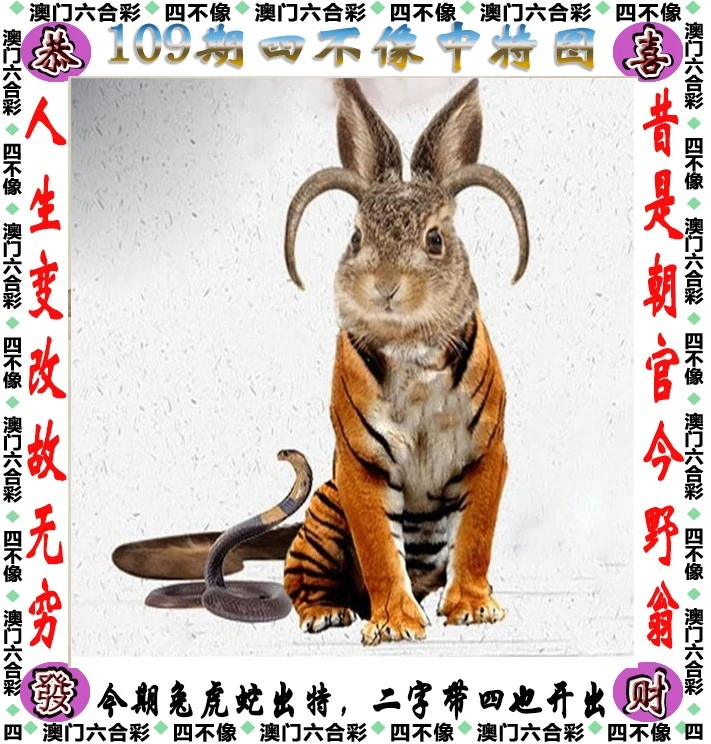 四不像王中王資料一肖，深度解析與探索，四不像王中王資料一肖，深度解析與探索揭秘