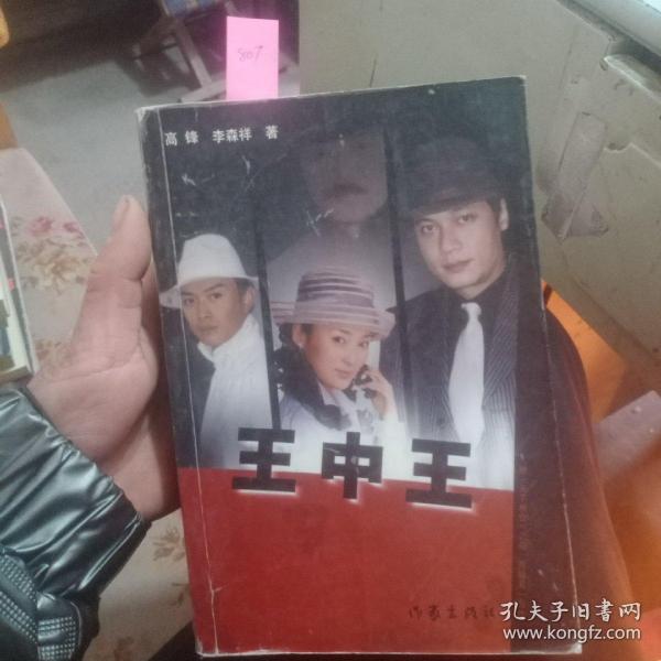 王中王資料一肖中天，深度解析與探索，王中王資料一肖中天，深度剖析與探索