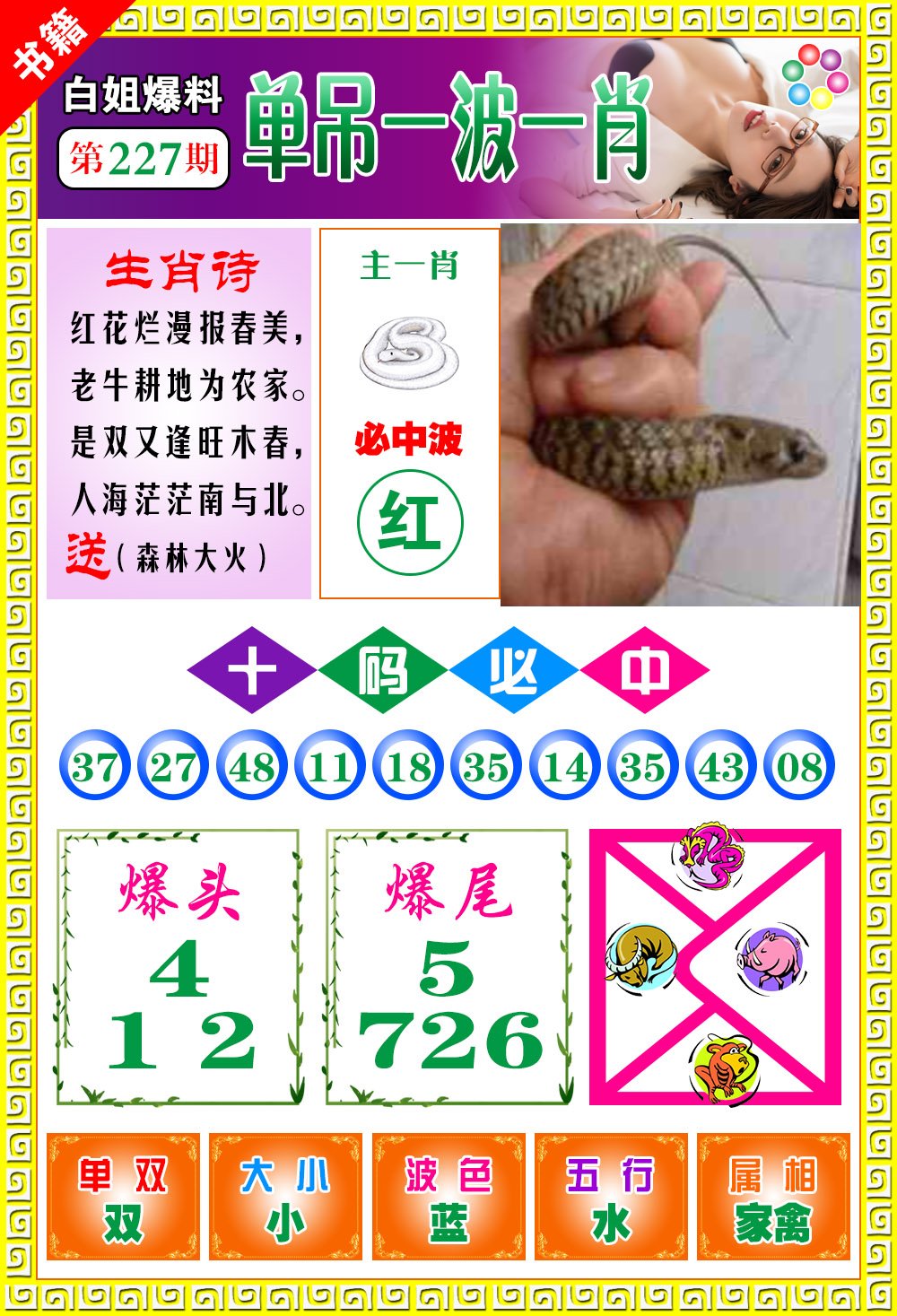 王中王免費開獎一肖結(jié)果，揭秘彩票背后的秘密，揭秘王中王彩票開獎內(nèi)幕，一肖結(jié)果背后的秘密揭曉