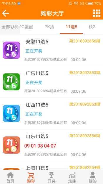 王中王資料一肖一特，深度解析與探索，王中王資料一肖一特，深度解析與探索揭秘