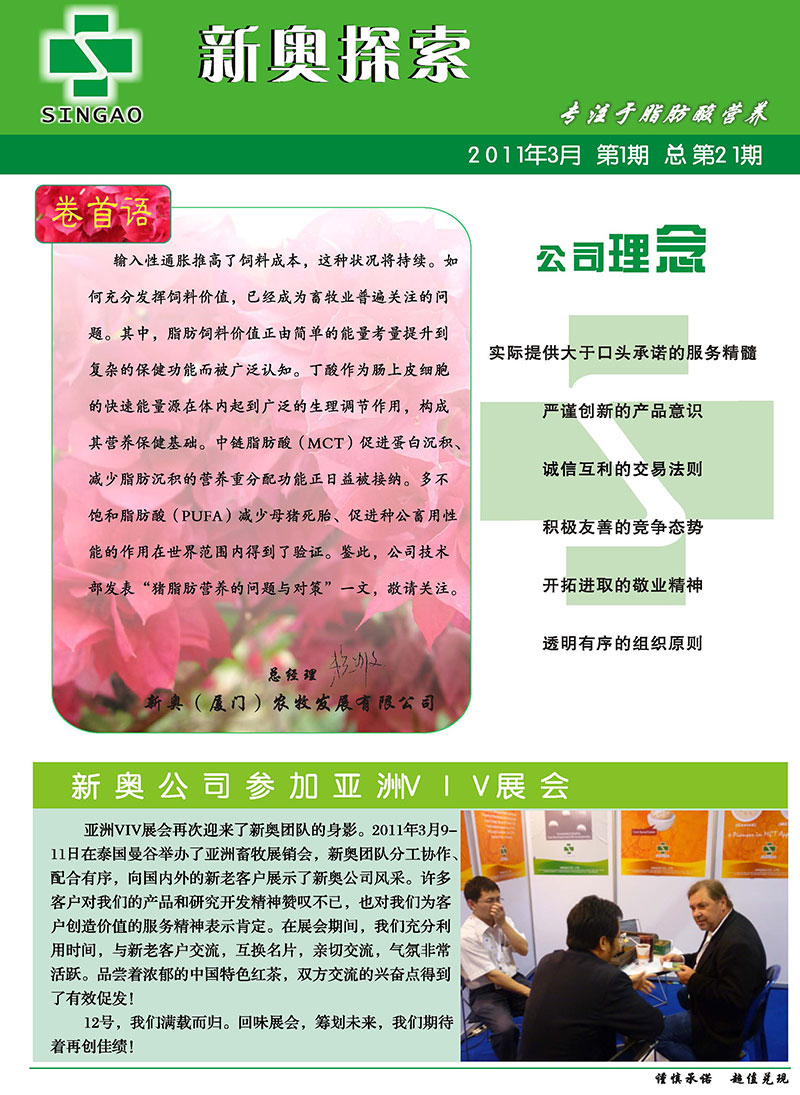 2025新澳精準(zhǔn)正版資料，全面解析與深度探索，2025新澳正版資料全面解析與深度探索