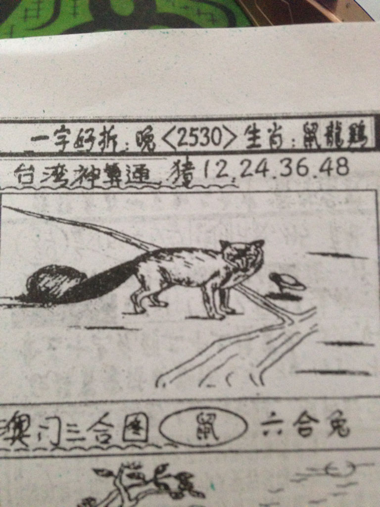 揭秘生肖奧秘，看圖猜一生肖劉伯溫的傳奇故事，揭秘生肖奧秘，劉伯溫傳奇故事中的生肖之謎探索