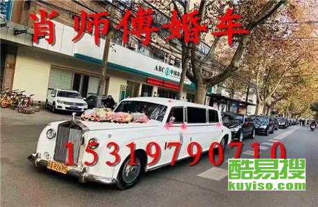 王中王車奪平特一肖免費(fèi)——深度解析與探索，王中王車奪平特一肖，深度解析與免費(fèi)探索