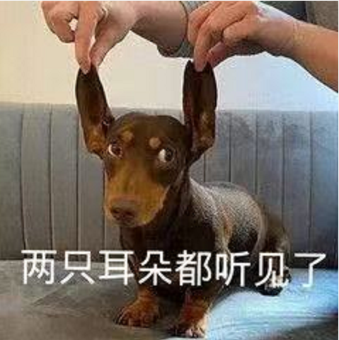王中王四不象必中一肖，揭秘背后的秘密與策略，揭秘王中王四不象必中一肖背后的秘密與策略之道