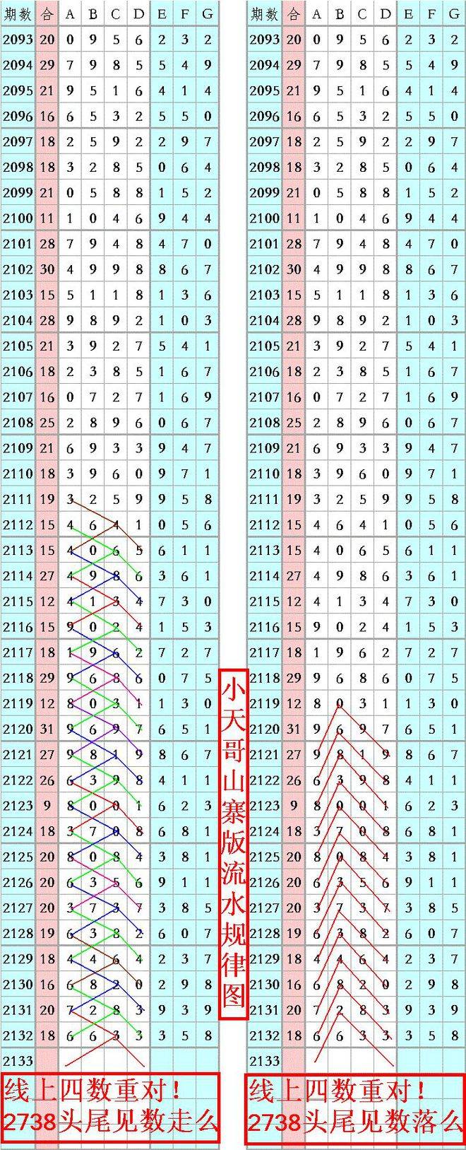 王中王資料一肖正特馬，深度解析與探索，王中王資料一肖正特馬深度解析與探索揭秘
