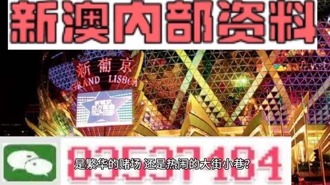 新澳門精準(zhǔn)資料大全與管家婆料，探索SEO的奧秘，探索SEO奧秘，新澳門精準(zhǔn)資料大全與管家婆料的秘密解析