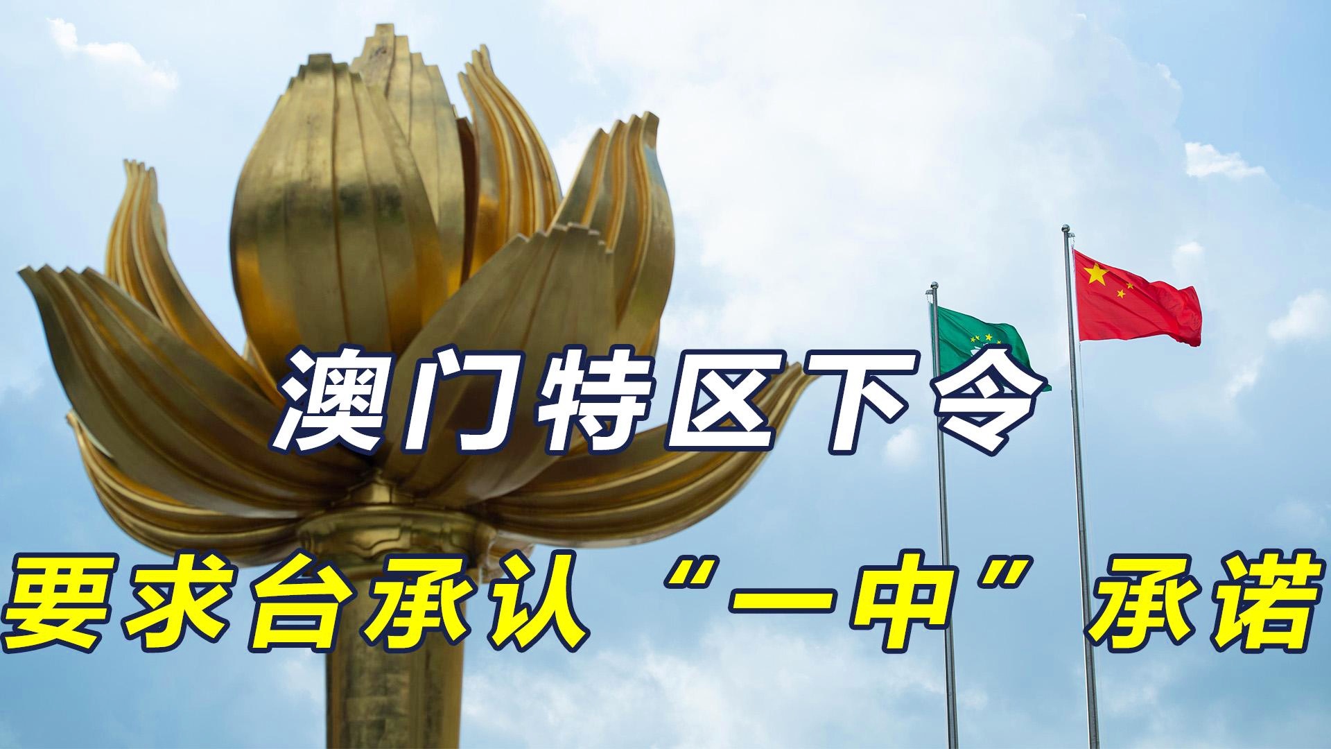 澳門一碼一肖一恃一中312期，揭秘與探索彩票文化背后的秘密，澳門彩票文化揭秘，一碼一肖背后的探索與奧秘