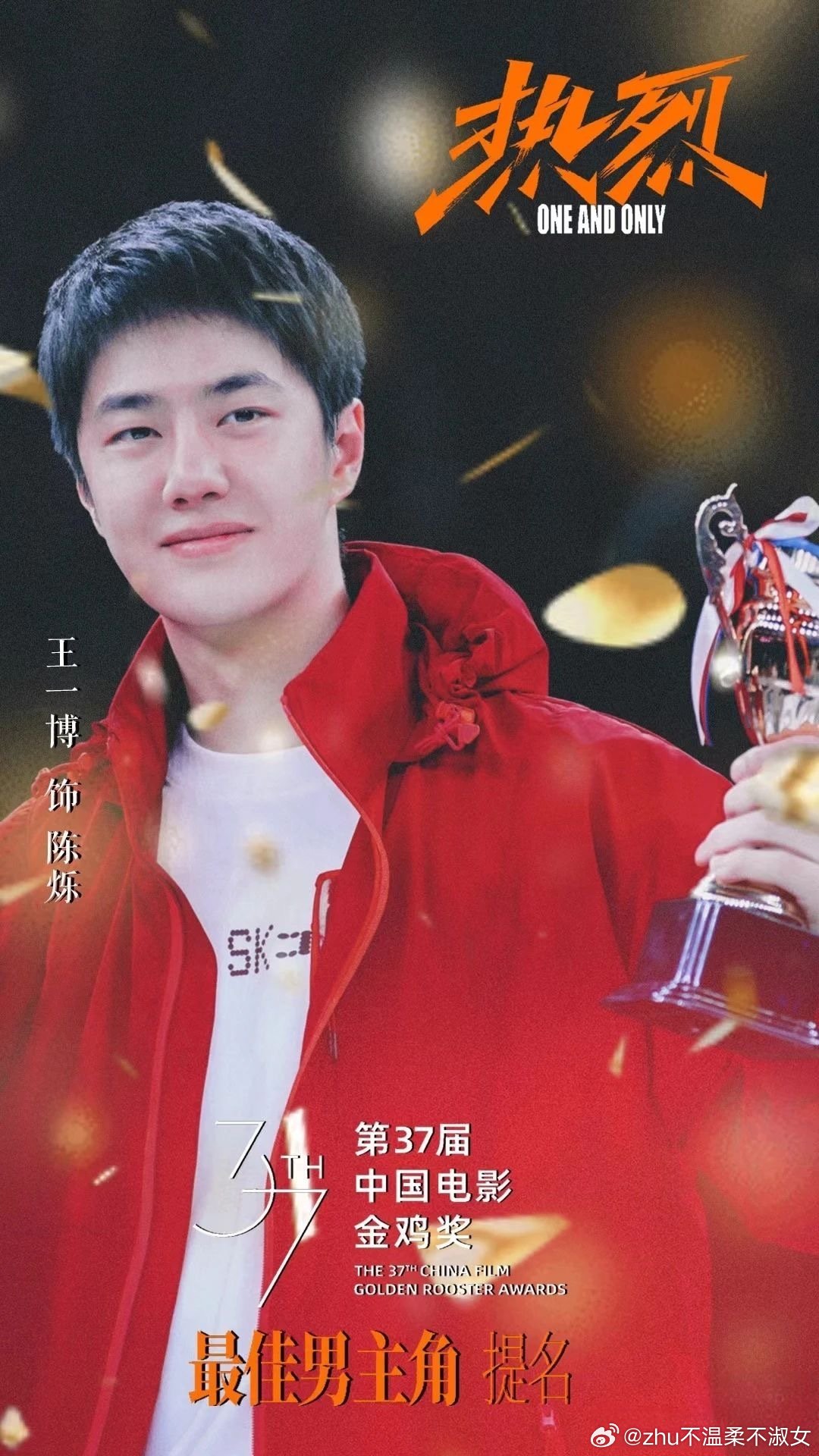 王中王一肖一特一中一中，探尋背后的故事與奧秘，探尋王中王一肖背后的故事與奧秘