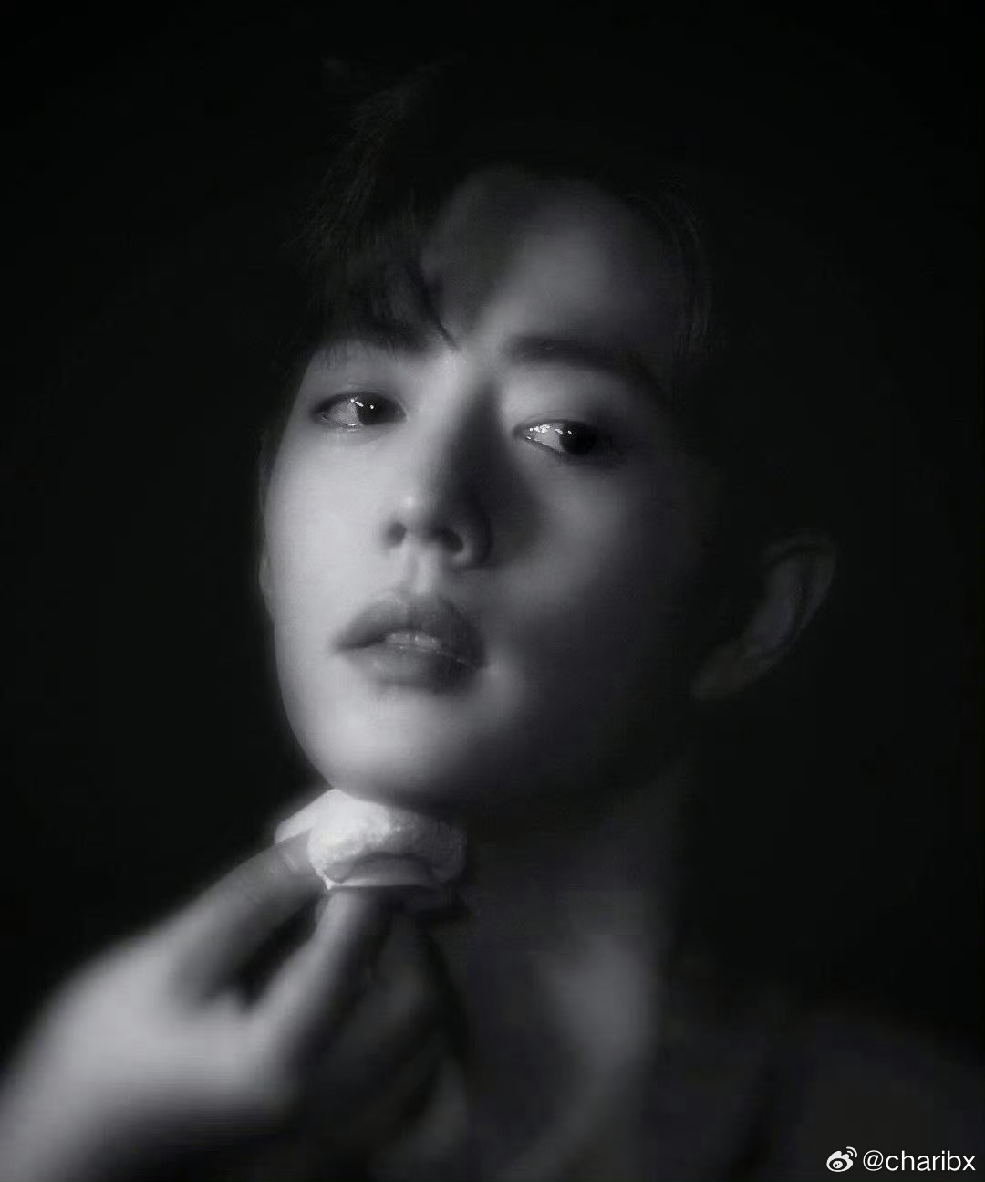 王中王資料一肖圖片，深度解析與SEO優(yōu)化，王中王資料一肖圖片，深度解析及SEO優(yōu)化指南