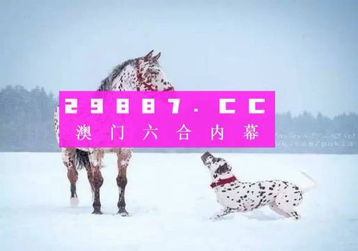澳門一肖一碼狀元紅，揭秘彩票背后的秘密與策略探討，澳門彩票揭秘與策略探討，狀元紅背后的秘密與一肖一碼探討