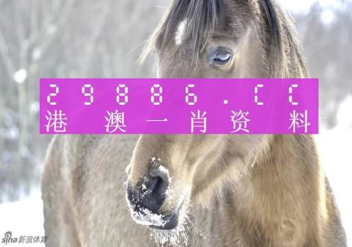 澳門一肖一碼，揭秘一個關(guān)于精準預測背后的故事，澳門一肖一碼揭秘，精準預測背后的神秘故事