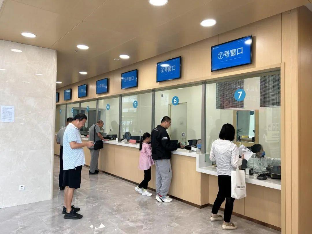 新門內(nèi)部資料免費(fèi)下載——探索與揭秘，新門內(nèi)部資料揭秘，免費(fèi)下載與探索之旅